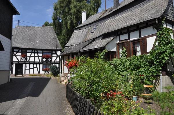 Verschiedene Blüten Selektiver Fokus — Stockfoto