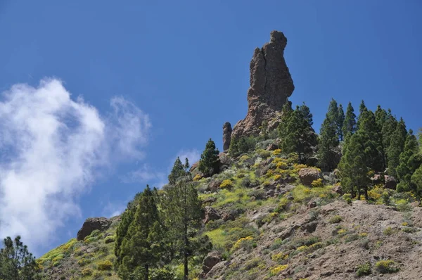 Fraile Montagne Montagne Montagne Grand Canarie Paysage Canaris Îles Canaries — Photo