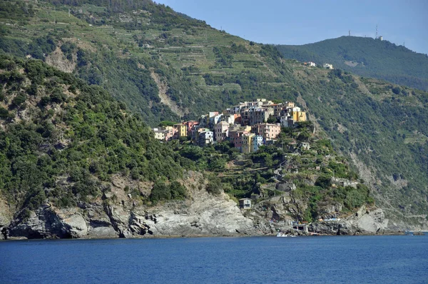 Corniglia Cinque Terre Ittaly Liguria Wybrzeże Wybrzeże Liguryjskie Wieś Park — Zdjęcie stockowe