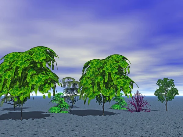 Drzewa Liściaste Grafika Komputerowa — Zdjęcie stockowe