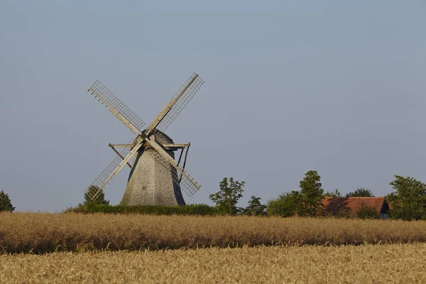 Moulin Vent Destel Stemwede Allemagne Est Moulin Vent Type Hollandais — Photo