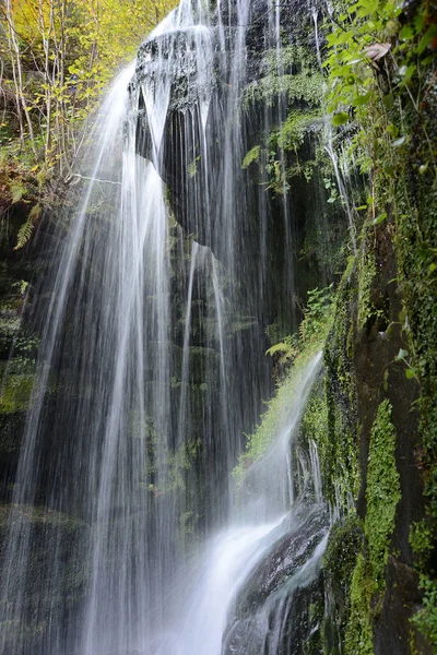 Amselfall Nas Montanhas Elba Sandstone — Fotografia de Stock