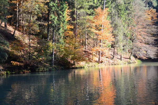 Amselsee Herbst Beratungskurort Beratungsstelle See Künstlicher See Teich Weiher Baum — Stockfoto