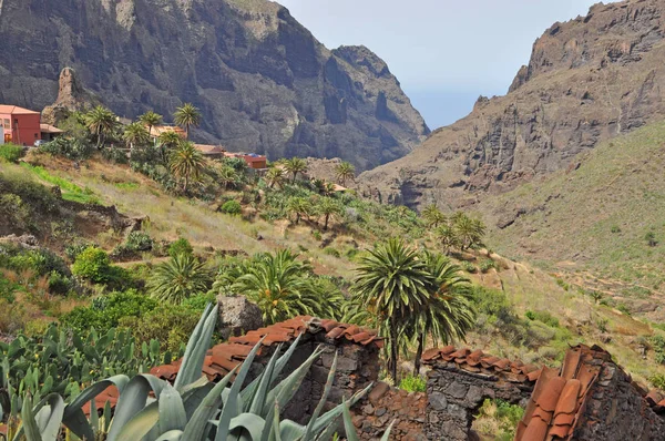 Masca Village Montagne Gorge Masca Montagnes Téno Tenerife Chaîne Montagnes — Photo