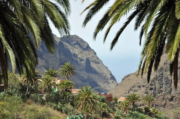 Masca Bergdorf Mascaschlucht Teno Βουνά Tenerife Βουνά Teno Βουνά Ψηλά — Φωτογραφία Αρχείου