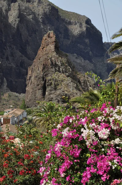 Masca Bergsby Masca Ravin Teno Berg Tenerife Bergskedja Teno Berg — Stockfoto
