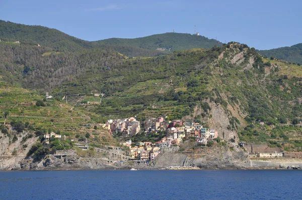 Manarola Cinque Terre Włochy Liguria Wybrzeże Wybrzeże Liguryjskie Wieś Park — Zdjęcie stockowe