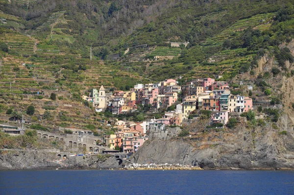 Manarola Cinque Terre Italy Liguria Coast Ligurian Coast Village National — ストック写真