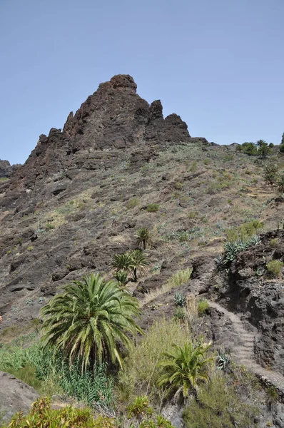 Mascaschlucht Montagne Del Teno Tenerife Montagne Montagne Del Teno Alte — Foto Stock