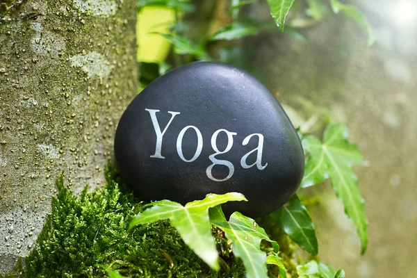 Stile Vita Yoga Assistenza Sanitaria — Foto Stock