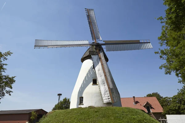 Väderkvarnen Heimsen Petershagen Tyskland Holländsk Typ Väderkvarn Och Ingår Westfalen — Stockfoto