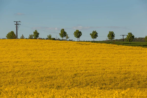 Aussichtsreicher Blick Auf Die Landwirtschaft Auf Dem Land — Stockfoto