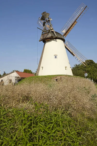 Windmill Suedhemmern South Hemmern Hille Germany Dutch Type Windmill Part — Stock Photo, Image