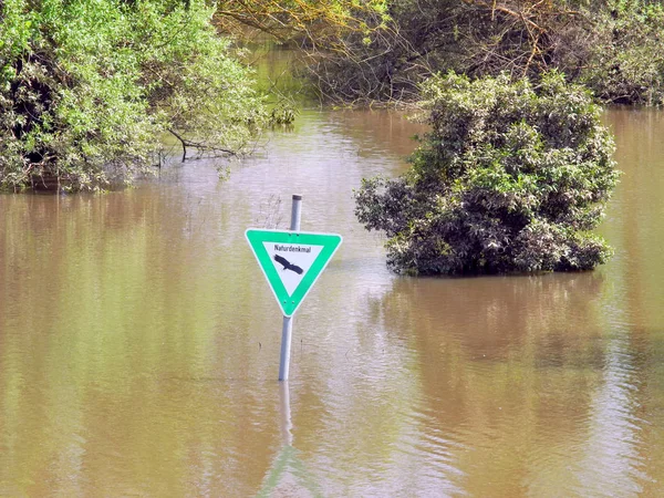 Inondation Dans Zone Conservation — Photo