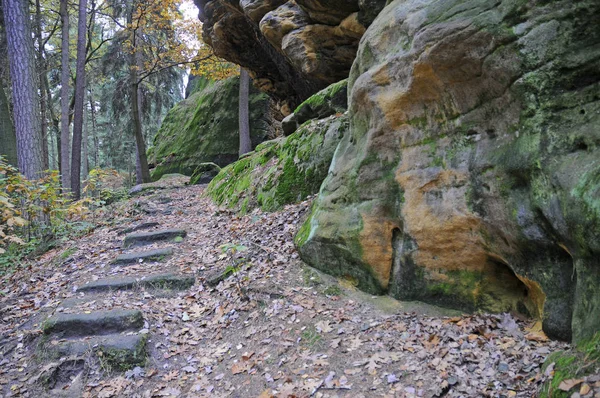 階段を歩く 熊の石 熊の石 熊の石 サムスドルフ エルBsandsteinebirge サクソンスイス — ストック写真