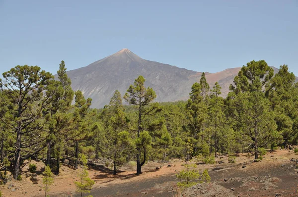Pico Del Teide Tenerife Tiide Pico Viejo Berg Vulkaan Vulkanisme — Stockfoto