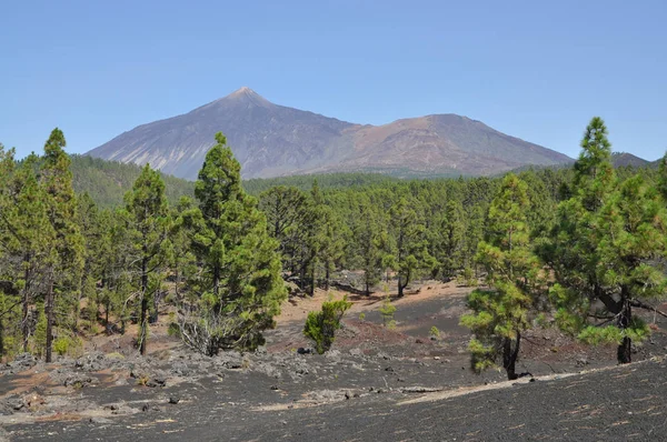 Pico Del Teide Tenerife Teide Pico Viejo Mountain Volcano Volcano — 图库照片