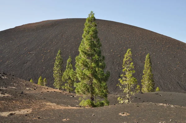 Volcan Garachico Volcan Negro Tenerife Teide Βουνό Ηφαίστειο Ηφαίστειο Βουνά — Φωτογραφία Αρχείου