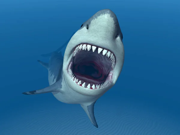 计算机生成与大白鲨 — 图库照片