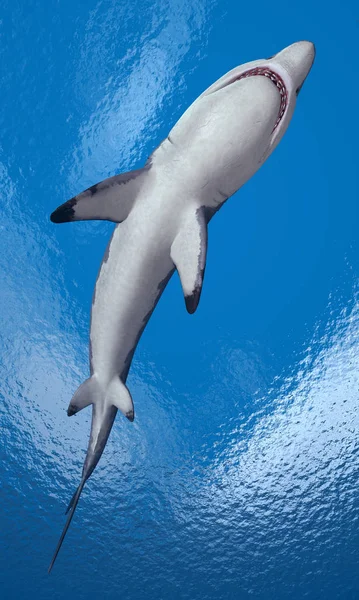 Bir Büyük Beyaz Köpekbalığı Ile Oluşturulan Bilgisayar Illüstrasyon — Stok fotoğraf