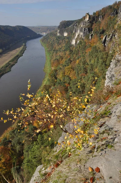 Bastei Basteifelsen Elbe Elbe Valley River Ship Freight Ship Rock — Stock Photo, Image