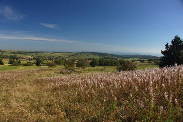 Bavarian Beautiful Land Area Germany — Stock Photo, Image