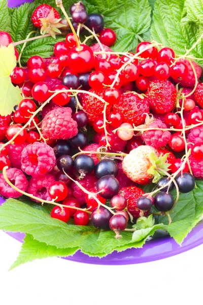 Berries Closeup Shot Konsep Makanan Sehat — Stok Foto