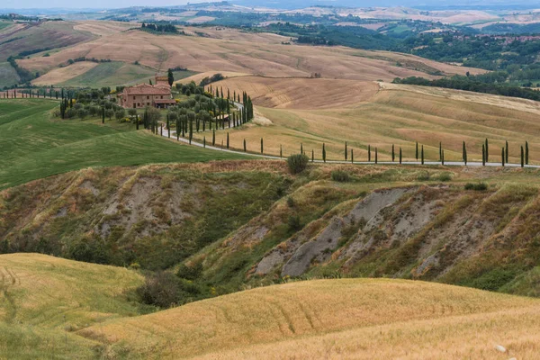 Uitzicht Toscaanse Kust — Stockfoto