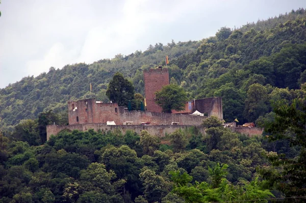 Vista Panorámica Majestuosa Arquitectura Medieval Del Castillo — Foto de Stock