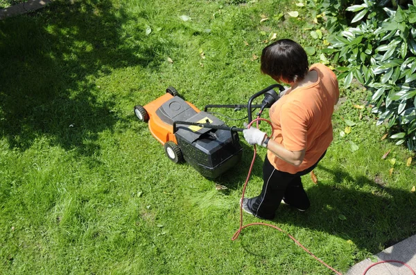 草刈り 芝刈り 芝刈り 芝刈り 牧草地 — ストック写真