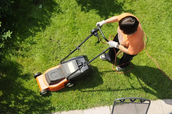 Rodd Klippa Gräsmatta Klippa Gräsmatta Klippa Gräsmatta Gräsklippare Gräs Trädgård — Stockfoto