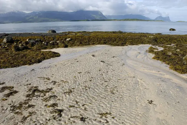 Homok Hullámok Strandon Skalan Senja Harsona Norway — Stock Fotó