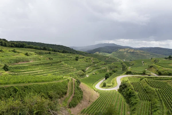 Vacker Utsikt Över Naturen — Stockfoto