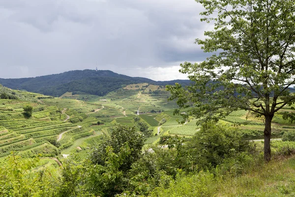 Naturskön Syn Jordbruket Landsbygden — Stockfoto