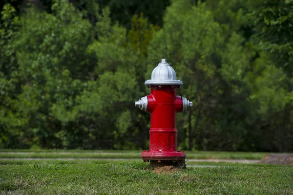 Czerwony Hydrant Pożarowy Miejscowym Parku — Zdjęcie stockowe