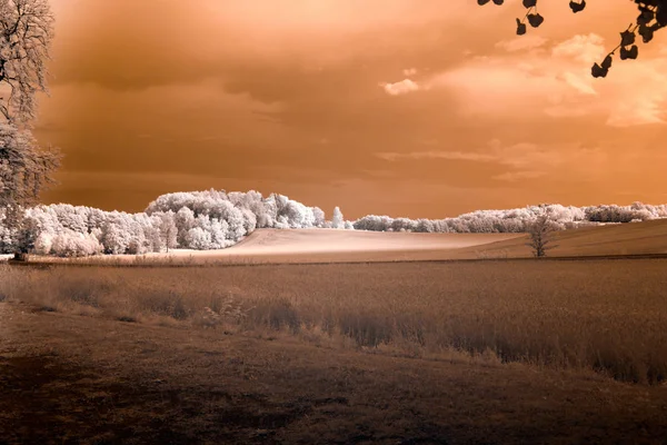 Pittoresk Utsikt Över Naturlandskapet — Stockfoto