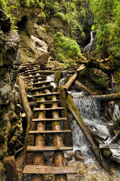 Hermosa Cascada Sobre Fondo Naturaleza — Foto de Stock