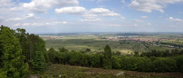 Hermosa Vista Naturaleza — Foto de Stock