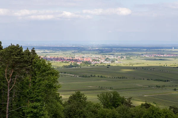 Hermosa Vista Naturaleza — Foto de Stock