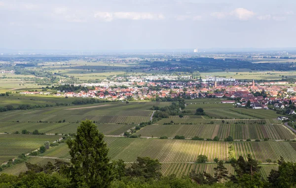 Landsliv Selektivt Fokus — Stockfoto