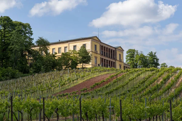 Malowniczy Widok Majestatyczną Średniowieczną Architekturę — Zdjęcie stockowe