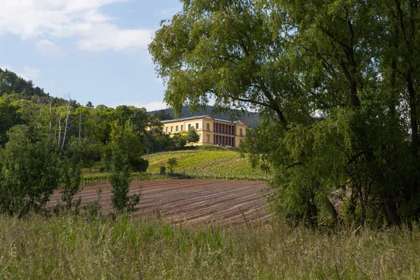 Schilderachtig Uitzicht Majestueuze Middeleeuwse Architectuur — Stockfoto