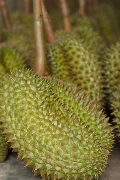 Owoce Duriana Rynku — Zdjęcie stockowe