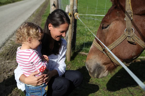 Moeder Dochter Paard Paddock Hek Dier Strelen Poorten Berijden Berijden — Stockfoto