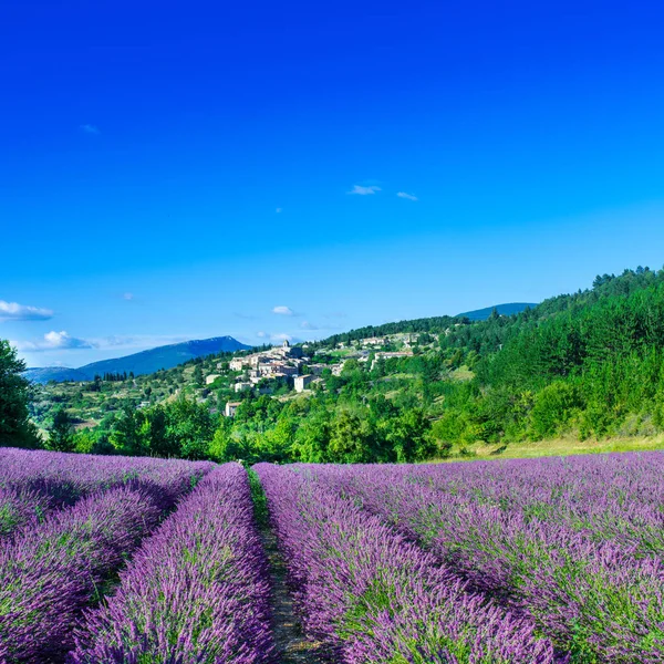 Provence, a region in southeastern France bordering Italy and the Mediterranean Sea,