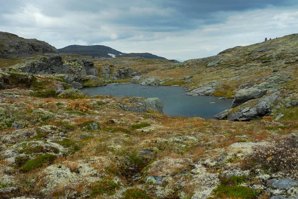 Noruega Sobre Naturaleza Paisaje Fondo — Foto de Stock