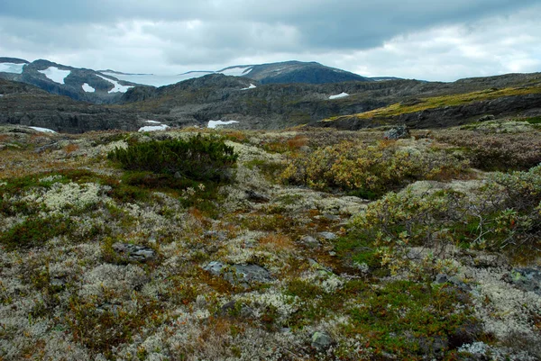 Noruega Sobre Paisagem Natural Fundo — Fotografia de Stock