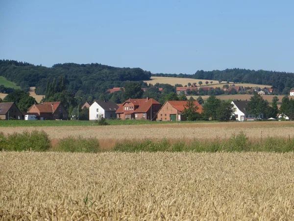 Sommar Calenberger Landet — Stockfoto