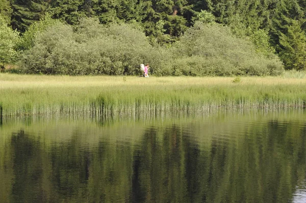 Gras Wasseroberfläche Marienteich Deutschland — Stockfoto