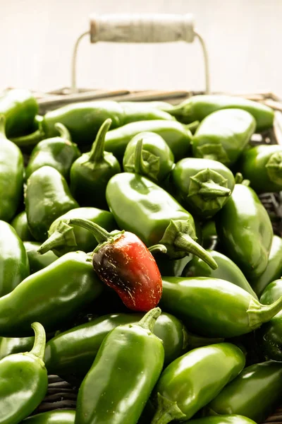 Chili Jalapeno Pimientos Verduras Comida — Foto de Stock